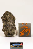 08975 - Top Rare 1.789 g NWA Unclassified Ureilite Achondrite Meteorite Polished Section