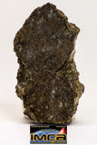 08975 - Top Rare 1.789 g NWA Unclassified Ureilite Achondrite Meteorite Polished Section
