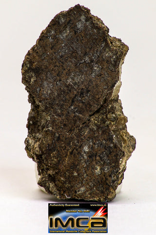 08975 - Top Rare 1.789 g NWA Unclassified Ureilite Achondrite Meteorite Polished Section