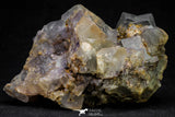 20855 - Top Pale Blue Fluorite Crystals on Matrix Hameda Fluorite Mine South Morocco