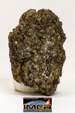 08976 - Top Rare 2.122 g NWA Unclassified Ureilite Achondrite Meteorite Polished Section