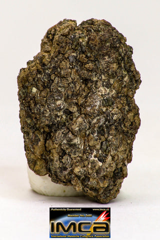 08976 - Top Rare 2.122 g NWA Unclassified Ureilite Achondrite Meteorite Polished Section