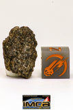 08976 - Top Rare 2.122 g NWA Unclassified Ureilite Achondrite Meteorite Polished Section