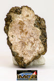 08976 - Top Rare 2.122 g NWA Unclassified Ureilite Achondrite Meteorite Polished Section