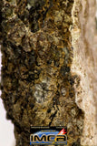 08976 - Top Rare 2.122 g NWA Unclassified Ureilite Achondrite Meteorite Polished Section