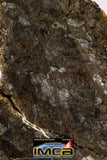 08977 - Top Rare 1.236 g NWA Unclassified Ureilite Achondrite Meteorite Polished Section