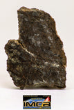 08977 - Top Rare 1.236 g NWA Unclassified Ureilite Achondrite Meteorite Polished Section