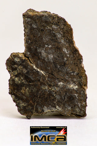 08977 - Top Rare 1.236 g NWA Unclassified Ureilite Achondrite Meteorite Polished Section