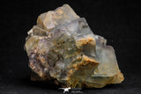 20855 - Top Pale Blue Fluorite Crystals on Matrix Hameda Fluorite Mine South Morocco