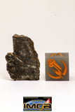08977 - Top Rare 1.236 g NWA Unclassified Ureilite Achondrite Meteorite Polished Section