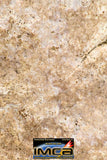 08977 - Top Rare 1.236 g NWA Unclassified Ureilite Achondrite Meteorite Polished Section