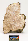 08977 - Top Rare 1.236 g NWA Unclassified Ureilite Achondrite Meteorite Polished Section