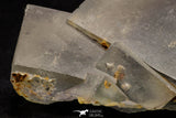 20856 - Top Pale Blue Fluorite Crystals on Matrix Hameda Fluorite Mine South Morocco