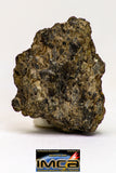 08978 - Top Rare 2.110 g NWA Unclassified Ureilite Achondrite Meteorite Polished Section
