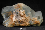 20856 - Top Pale Blue Fluorite Crystals on Matrix Hameda Fluorite Mine South Morocco
