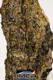 08979 - Top Rare 0.963 g NWA Unclassified Ureilite Achondrite Meteorite Polished Section