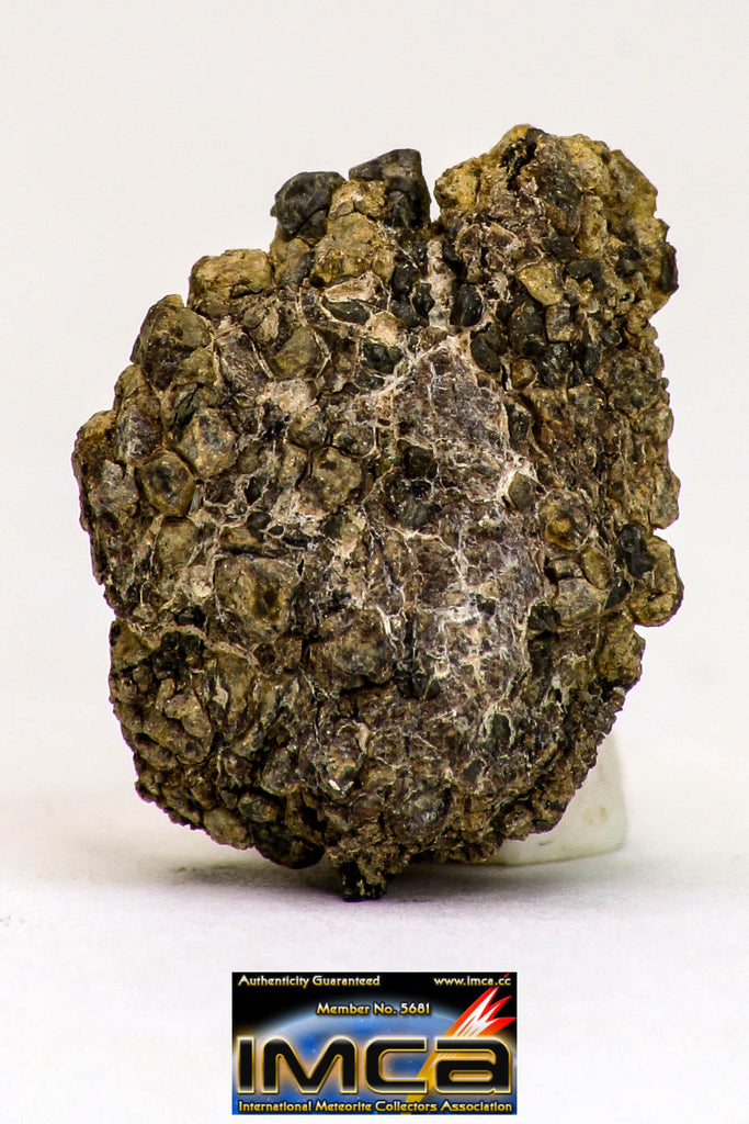 08980 - Top Rare 0.924 g NWA Unclassified Ureilite Achondrite Meteorite Polished Section