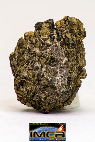 08980 - Top Rare 0.924 g NWA Unclassified Ureilite Achondrite Meteorite Polished Section