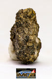 08980 - Top Rare 0.924 g NWA Unclassified Ureilite Achondrite Meteorite Polished Section