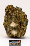08980 - Top Rare 0.924 g NWA Unclassified Ureilite Achondrite Meteorite Polished Section