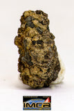 08980 - Top Rare 0.924 g NWA Unclassified Ureilite Achondrite Meteorite Polished Section