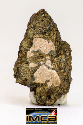 08981 - Top Rare 1.135 g NWA Unclassified Ureilite Achondrite Meteorite Polished Section