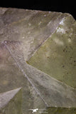 20857 - Top Pale Blue Fluorite Crystals on Matrix Hameda Fluorite Mine South Morocco