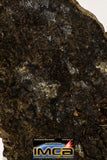 08981 - Top Rare 1.135 g NWA Unclassified Ureilite Achondrite Meteorite Polished Section