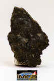 08981 - Top Rare 1.135 g NWA Unclassified Ureilite Achondrite Meteorite Polished Section