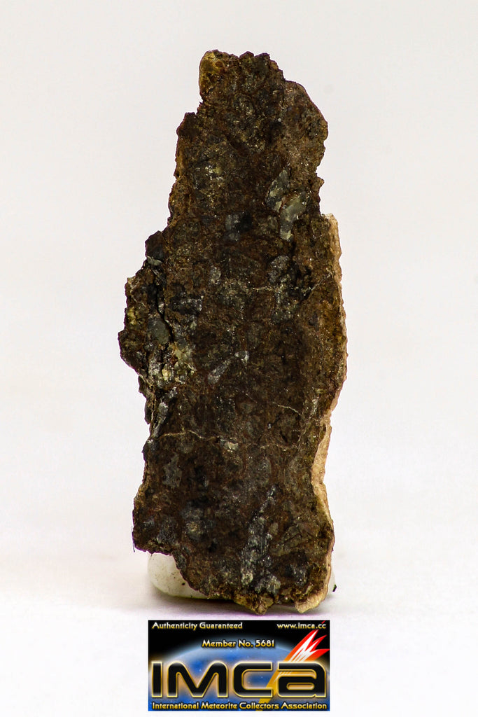 08982 - Top Rare 0.348 g NWA Unclassified Ureilite Achondrite Meteorite Polished Section