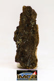 08982 - Top Rare 0.348 g NWA Unclassified Ureilite Achondrite Meteorite Polished Section