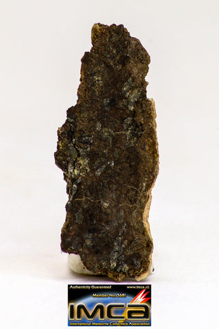 08982 - Top Rare 0.348 g NWA Unclassified Ureilite Achondrite Meteorite Polished Section