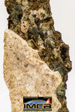 08982 - Top Rare 0.348 g NWA Unclassified Ureilite Achondrite Meteorite Polished Section