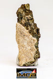 08982 - Top Rare 0.348 g NWA Unclassified Ureilite Achondrite Meteorite Polished Section