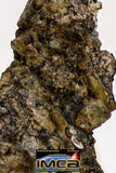 08983 - Top Rare 0.491 g NWA Unclassified Ureilite Achondrite Meteorite Polished Section