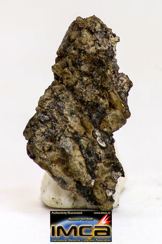 08983 - Top Rare 0.491 g NWA Unclassified Ureilite Achondrite Meteorite Polished Section