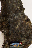 08983 - Top Rare 0.491 g NWA Unclassified Ureilite Achondrite Meteorite Polished Section