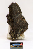 08983 - Top Rare 0.491 g NWA Unclassified Ureilite Achondrite Meteorite Polished Section