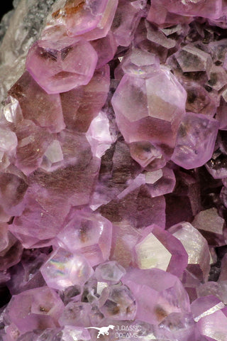 20858 - Pink Cobaltoan Calcite Crystals on Matrix - Bou Azzer Mine (South Morocco)