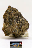 08984 - Top Rare 0.828 g NWA Unclassified Ureilite Achondrite Meteorite Polished Section