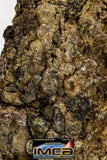 08984 - Top Rare 0.828 g NWA Unclassified Ureilite Achondrite Meteorite Polished Section