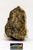 08984 - Top Rare 0.828 g NWA Unclassified Ureilite Achondrite Meteorite Polished Section