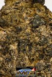 08985 - Top Rare 0.707 g NWA Unclassified Ureilite Achondrite Meteorite Polished Section