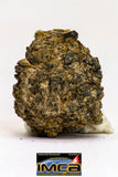 08985 - Top Rare 0.707 g NWA Unclassified Ureilite Achondrite Meteorite Polished Section