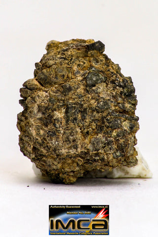 08985 - Top Rare 0.707 g NWA Unclassified Ureilite Achondrite Meteorite Polished Section