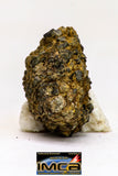 08985 - Top Rare 0.707 g NWA Unclassified Ureilite Achondrite Meteorite Polished Section