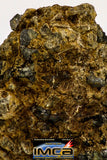 08985 - Top Rare 0.707 g NWA Unclassified Ureilite Achondrite Meteorite Polished Section