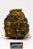 08985 - Top Rare 0.707 g NWA Unclassified Ureilite Achondrite Meteorite Polished Section