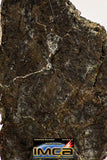 08986 - Top Rare 0.440 g NWA Unclassified Ureilite Achondrite Meteorite Polished Section