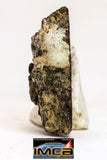 08986 - Top Rare 0.440 g NWA Unclassified Ureilite Achondrite Meteorite Polished Section